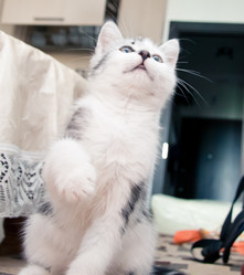 Similar image 21813401