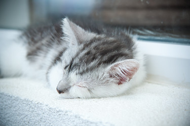 Similar image 21813402