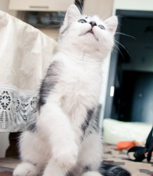 Similar image 21813404