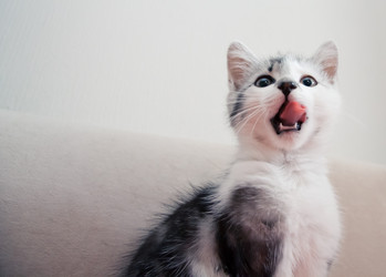 Similar image 21813405