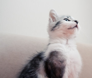 Similar image 21813406