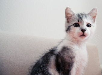 Similar image 21813407