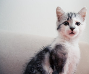 Similar image 21813408