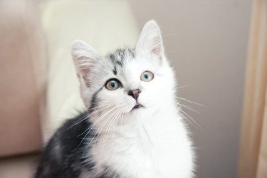 Similar image 21813410