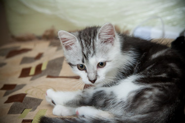 Similar image 21813411