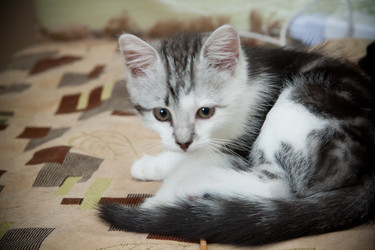 Similar image 21813412