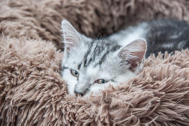 Similar image 21813413