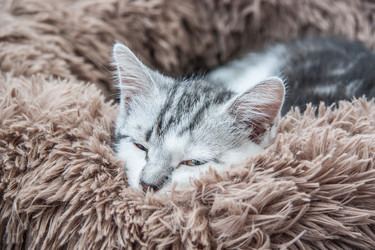 Similar image 21813414