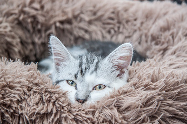 Similar image 21813415