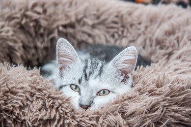 Similar image 21813416