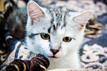 Similar image 21813417