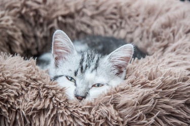 Similar image 21813418