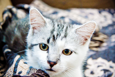 Similar image 21813419