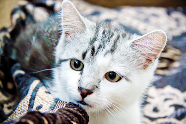 Similar image 21813421