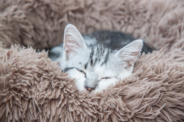 Similar image 21813422