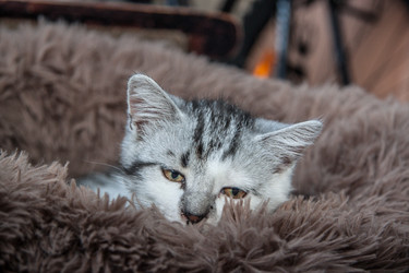 Similar image 21813423