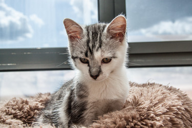 Similar image 21813424