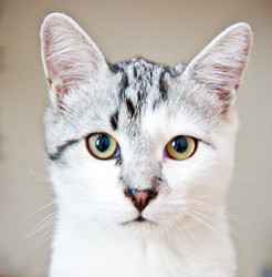 Similar image 21813425