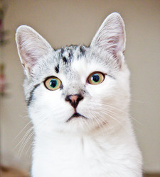 Similar image 21813426