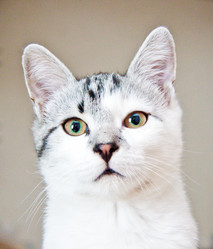 Similar image 21813427