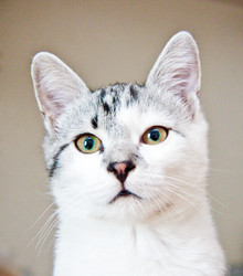 Similar image 21813428