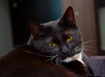 Similar image 21803078