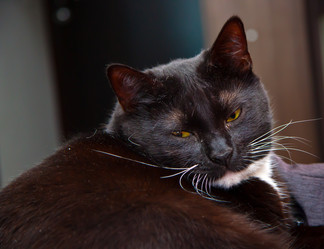 Similar image 21803079