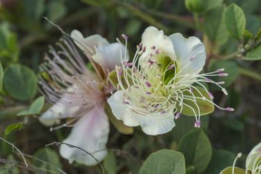 Similar image 21791014