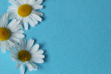 Similar image 21790251