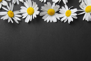 Similar image 21790252