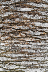 Similar image 21790353