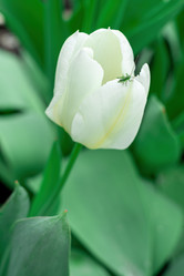 Similar image 21790356