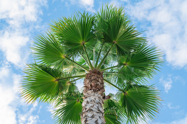 Similar image 21790357