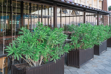 Similar image 21790385