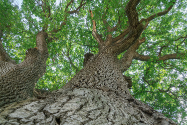 Similar image 21790387