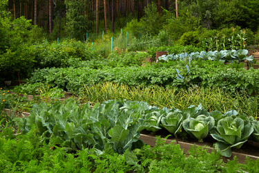 Similar image 21789736