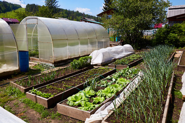 Similar image 21789739