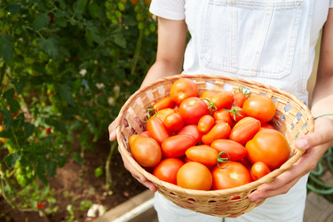 Similar image 21789741