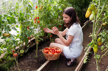 Similar image 21789742