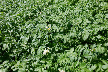 Similar image 21789753