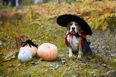 Similar image 21789764