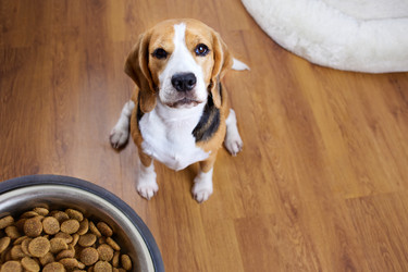 Similar image 21789766