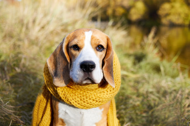 Similar image 21789767