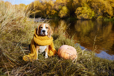 Similar image 21789768