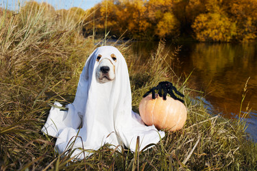 Similar image 21789769