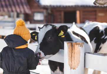 Similar image 21806521