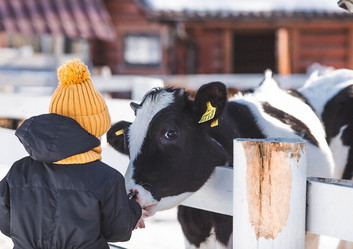 Similar image 21806522