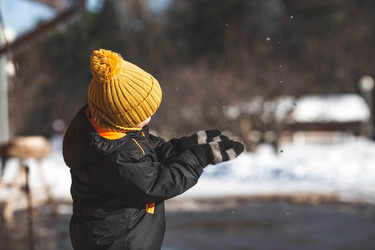 Similar image 21806524