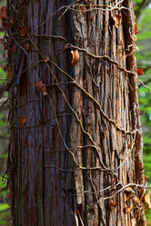 Similar image 21789770