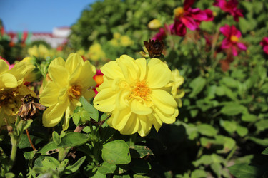 Similar image 21790280